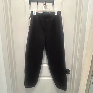 Aritzia TNA COZY FLEECE BOYFRIEND JOGGER